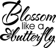 butterfly quotes google search more vinyls decals quotes wall ...