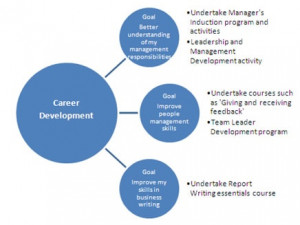 Career Development Plan