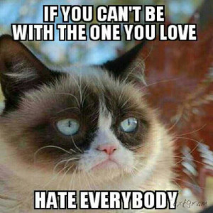 ... cat says, if you can't be with the one you love... hate everybody