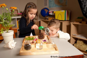 ... in a Montessori Classroom - Sensitive Periods, Productivity and Humor