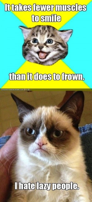 Funny Pictures Grumpy Cat...