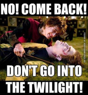 Funny Picture - No! Come back! Don't go into the twilight! Harry ...