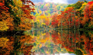 ... spicy fall colors reflect on the smooth-as-glass surface of the water