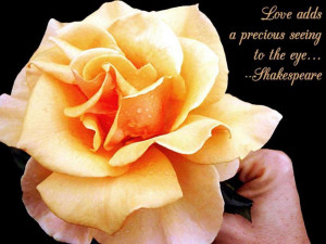 love quotes love quotes love quotes love quotes