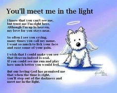 dog heaven poem | Doggie heaven