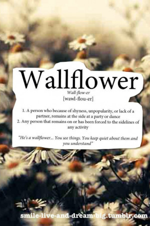 Perks of Being a Wallflower Quotes