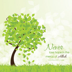 When Allah says, ‘Never lose hope in the mercy of Allah,’ He is ...