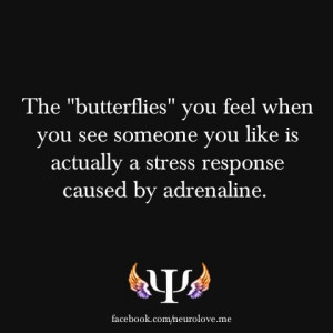 Butterflies = Love? Think again...!