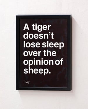Don’t Lose Sleep Over the Opinion of Sheep