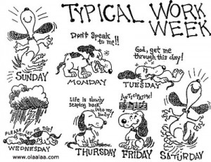 this entry was posted in photos and tagged employee funny images funny