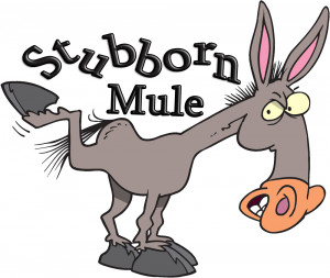 Stubborn Mule Yup - says it all