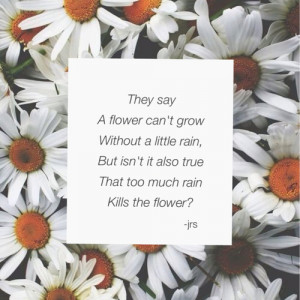 ... tags for this image include: sad, quotes, flower, rain and flowers