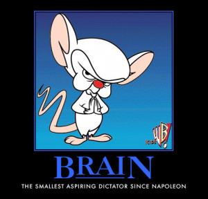 Pinky and the Brain by AwesomenessDK