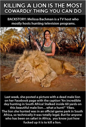 ... an interesting story about lions and why it is not cool to kill them