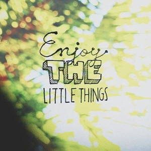 Enjoy the little things quote