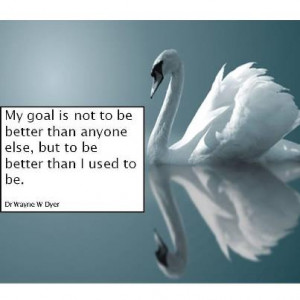 My goal is not to be better than anyone else, but to be better than I ...
