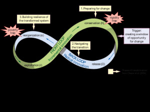 the front loop of the adaptive cycle can be seen
