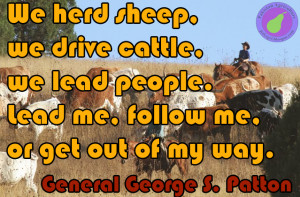We Herd Sheep and Cattle Quote