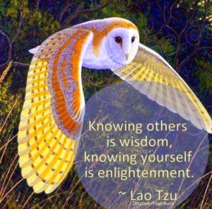 The Reconciling Symbol in Chinese Philosophy: