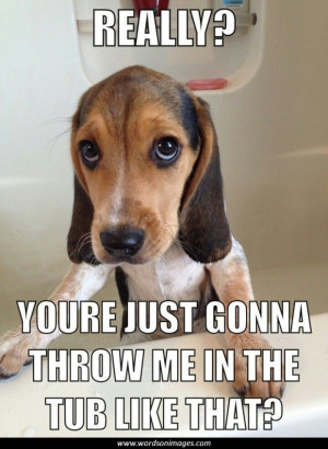 Added by picture-quotes Posted Under More Quotes Report image