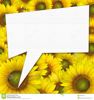 Beautiful yellow Sunflower petals closeup background with quote text.