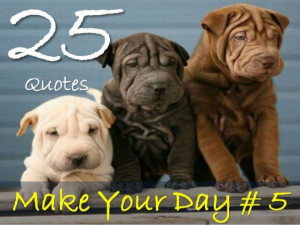 25 Quotes Make Your Day # 5