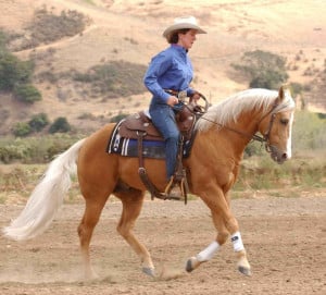 Western Horse Riding Quotes If the horse she's riding