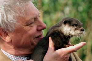 Is Sir David Attenborough right? Have humans really stopped evolving?