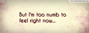 But I'm too numb to feel right now Profile Facebook Covers
