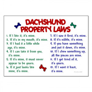 and only come out for a treat!