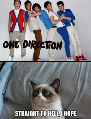 One Direction at Apple’s “12 Days of Christmas”