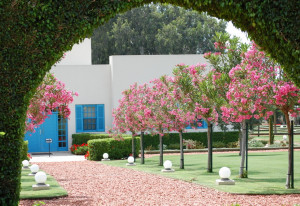 Quotes+on+contentment+and+peace