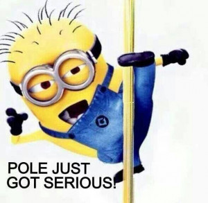 Minions Pole Just Got Serious!