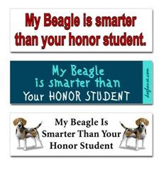 Beagles.JPG