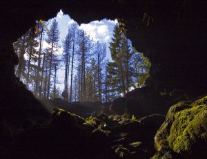 Looking back at the entrance of Ole's Cave in the Gifford Pinchot ...