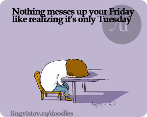 Funny Tuesday Quotes Pictures Zimg Picture