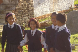 Statistics against school uniforms askcom