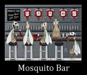 Funny Pictures-Mosquito Bar-Blood-Images-photos