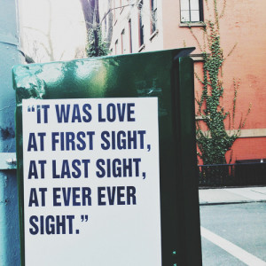 It was love at first sight, at last sight, at ever sight.