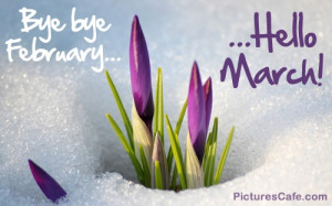 Bye bye February... Hello March!