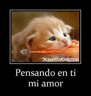 ... de amor tiernas Im%C3%A1genes de animales tiernos con frases de amor 1
