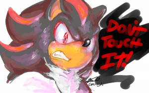 dont-touch-it-shadow-the-hedgehog-23091178-900-563.png