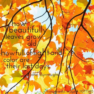 Fall autumn quotes sayings image john burroughs