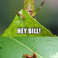 funny-grasshopper-saying-hi-pic.jpg