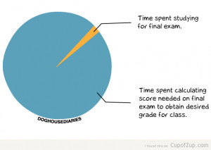 Final Exams Funny Quotes Doghouse diaries: final exams
