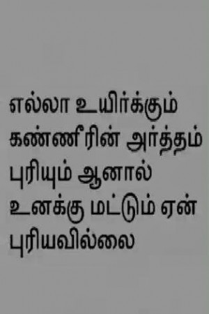 Labels: Tamil , Tamil Quotes