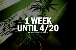 July 18, 2014 at 11:11 am #375