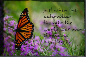 butterfly quotes Pictures, Images and Photos