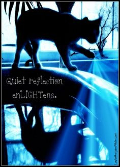 ... photos work quotes photo quotes cat photo reflection quotes photo fun