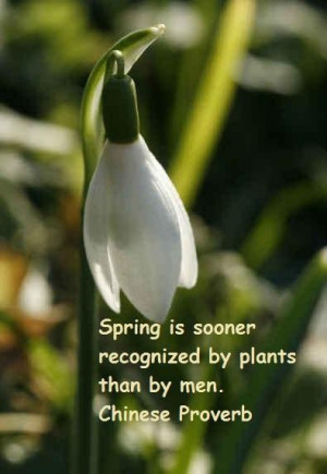 Spring famous quotes 10